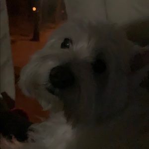 Meet your Posher, Christy